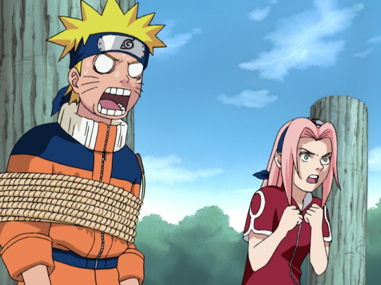 Naruto - Die komplette erste Staffel, Flg 1-19
