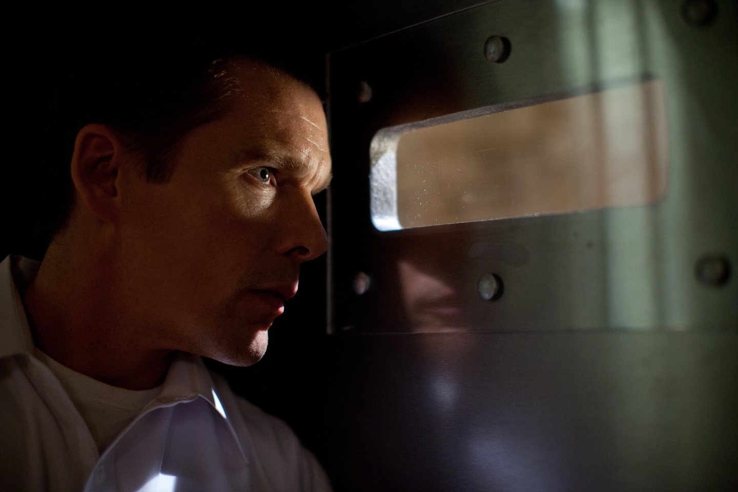 Purge - Die Säuberung, The / Purge, The / Ethan Hawke