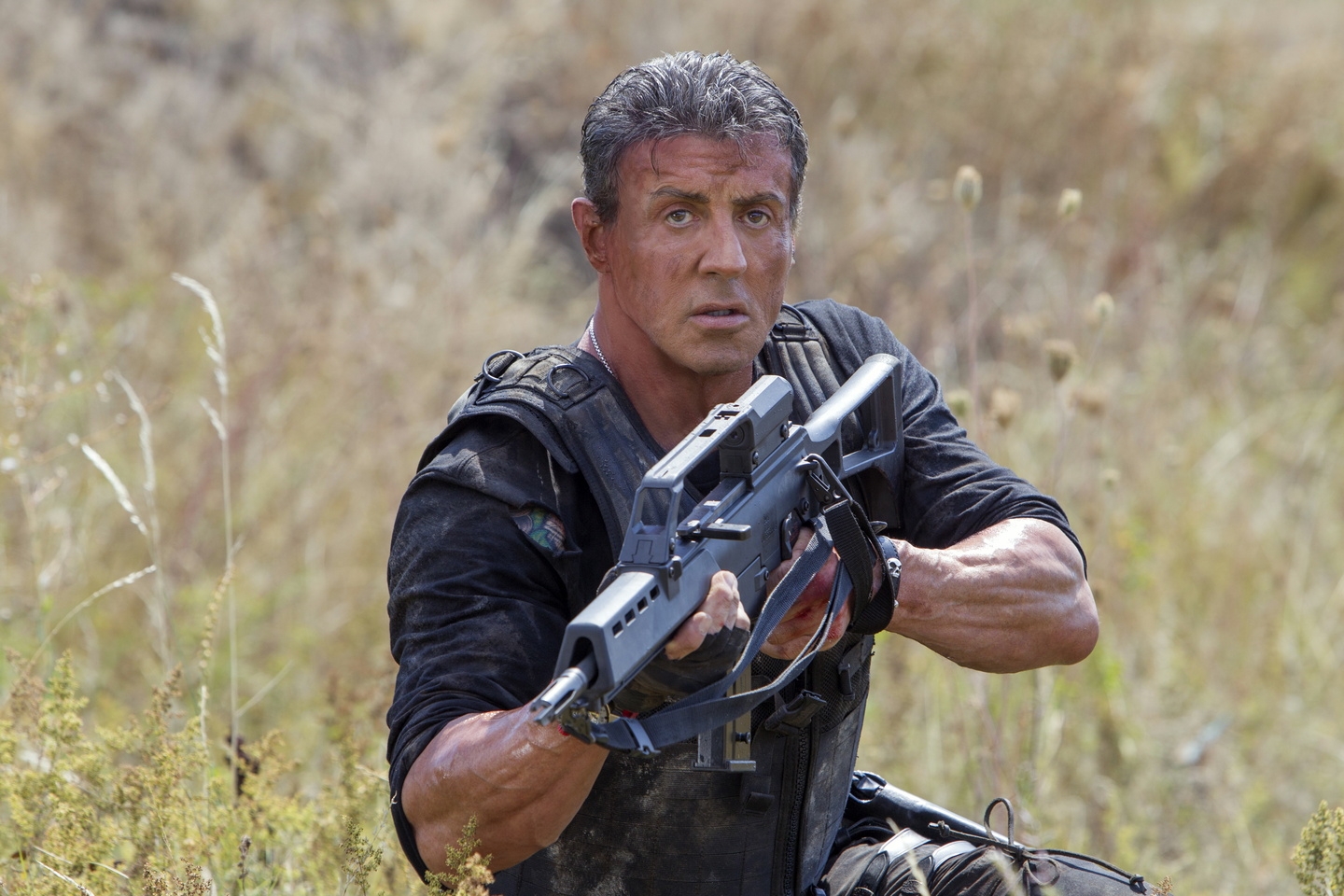 Expendables 3, The / Sylvester Stallone