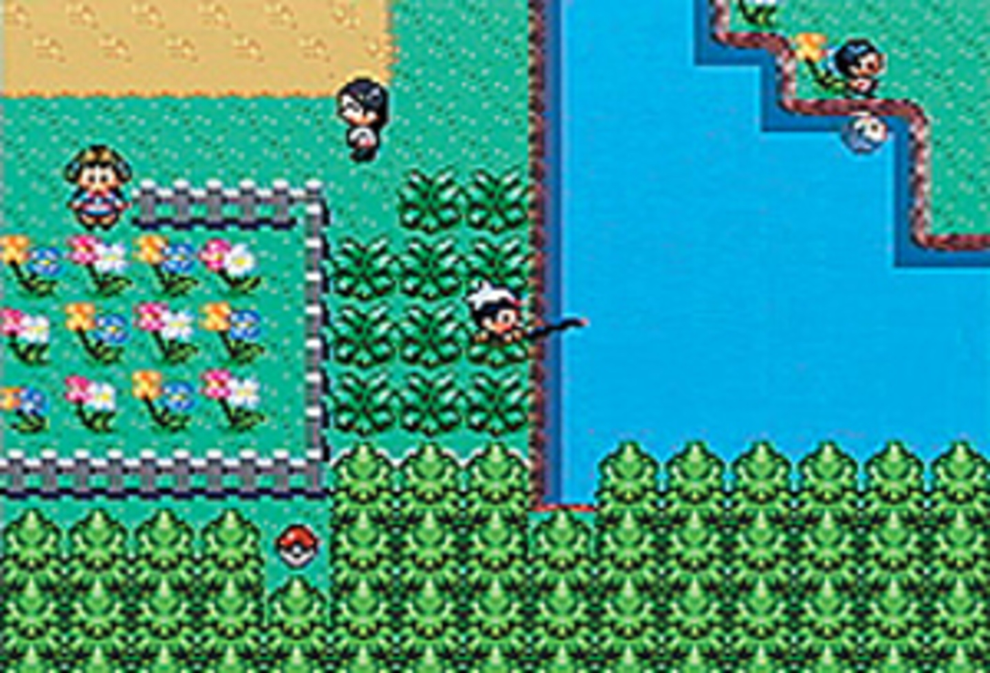 Pokémon: Saphir-Edition (Game Boy Advance)