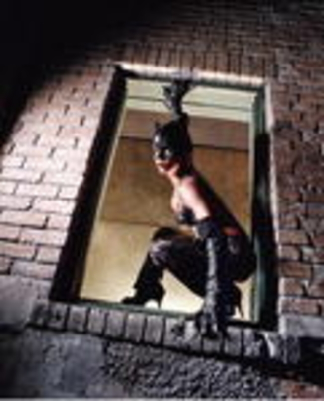 "Catwoman" neu auf Platz drei der Leih-DVD-Charts