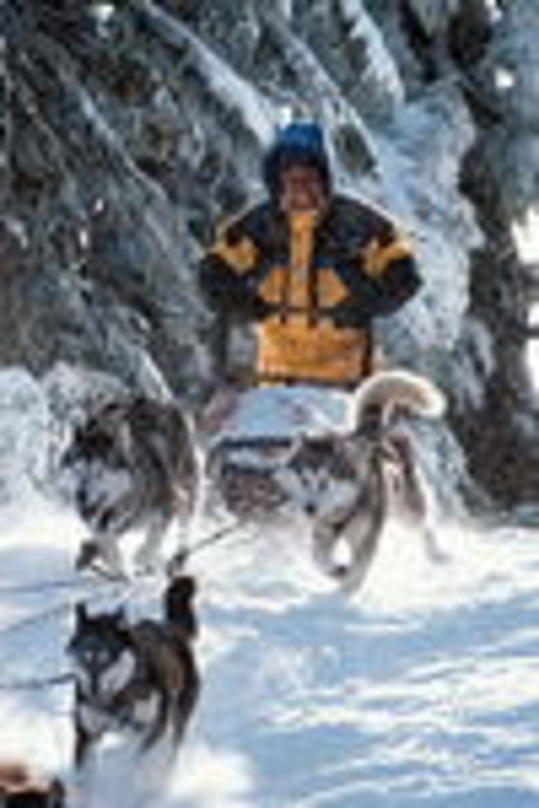 Klettern in die Top Ten: "Snow Dogs"