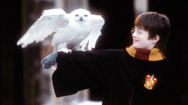 Daniel Radcliffe in "Harry Potter und der Stein der Weisen"