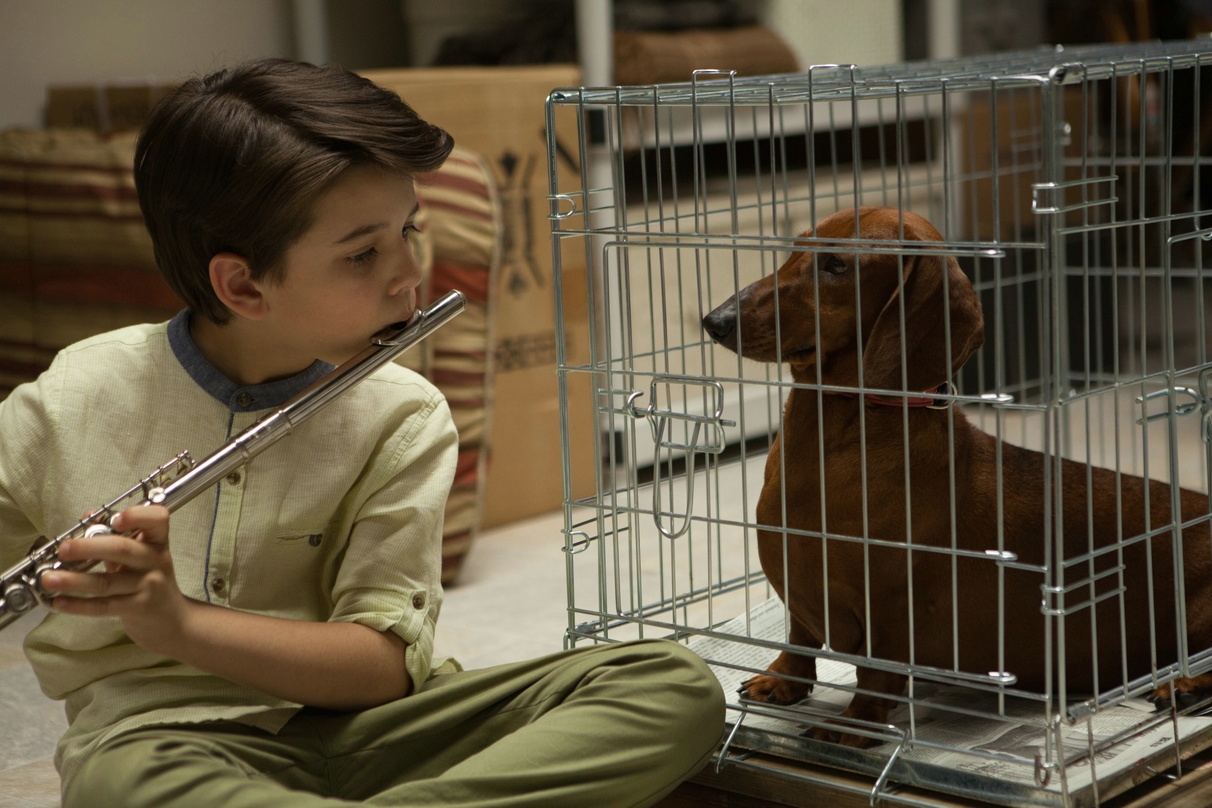 Ab 28. Juli in den deutschen Kinos: "Wiener Dog"
