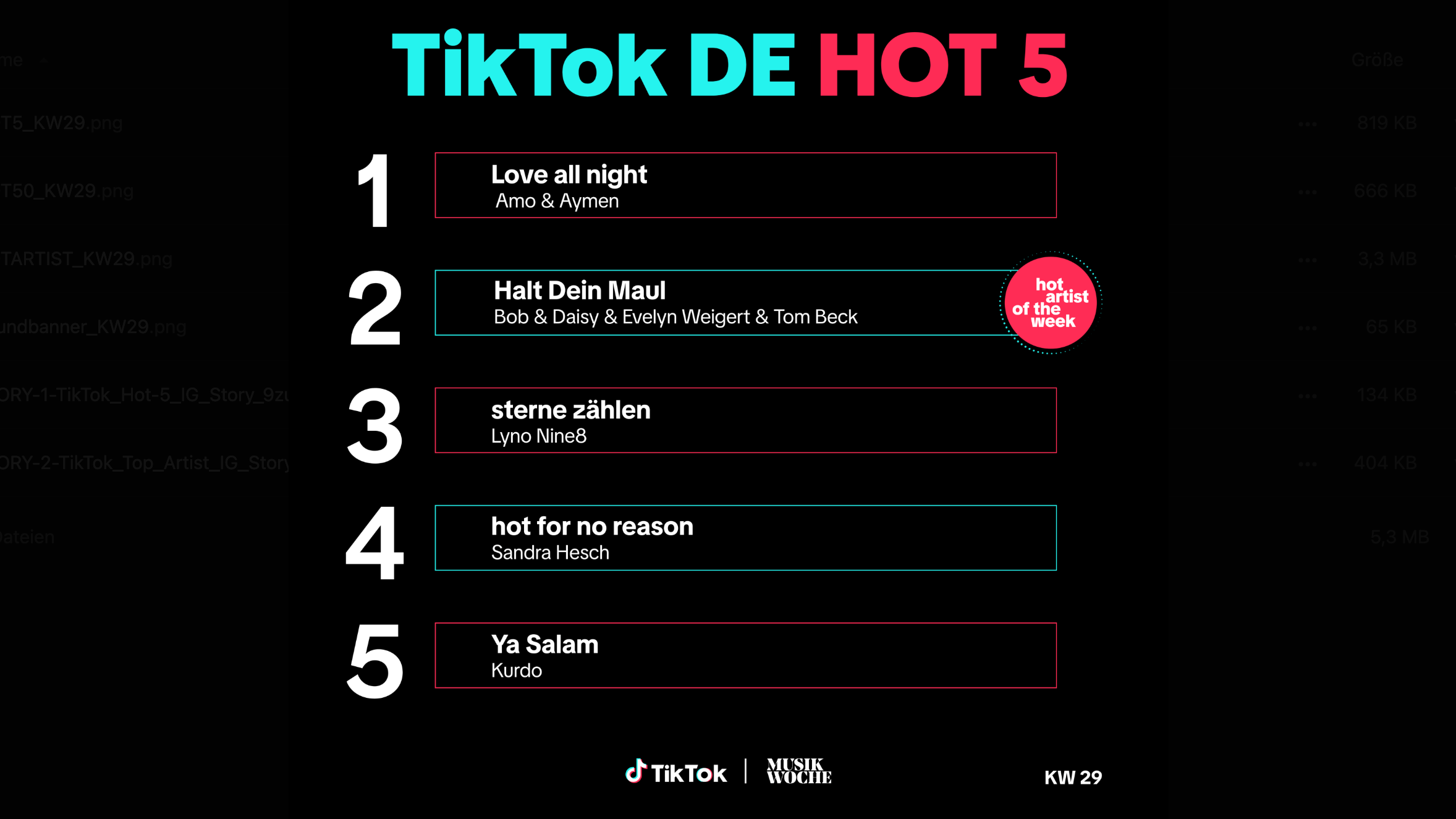 TikTok DE Hot 50 KW29:
