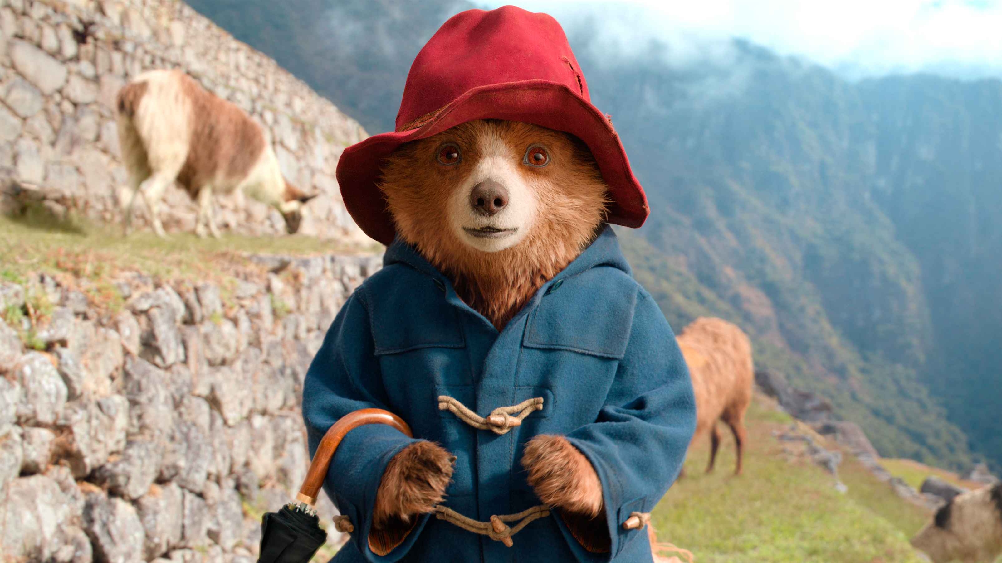 REVIEW KINO: „Paddington in Peru“