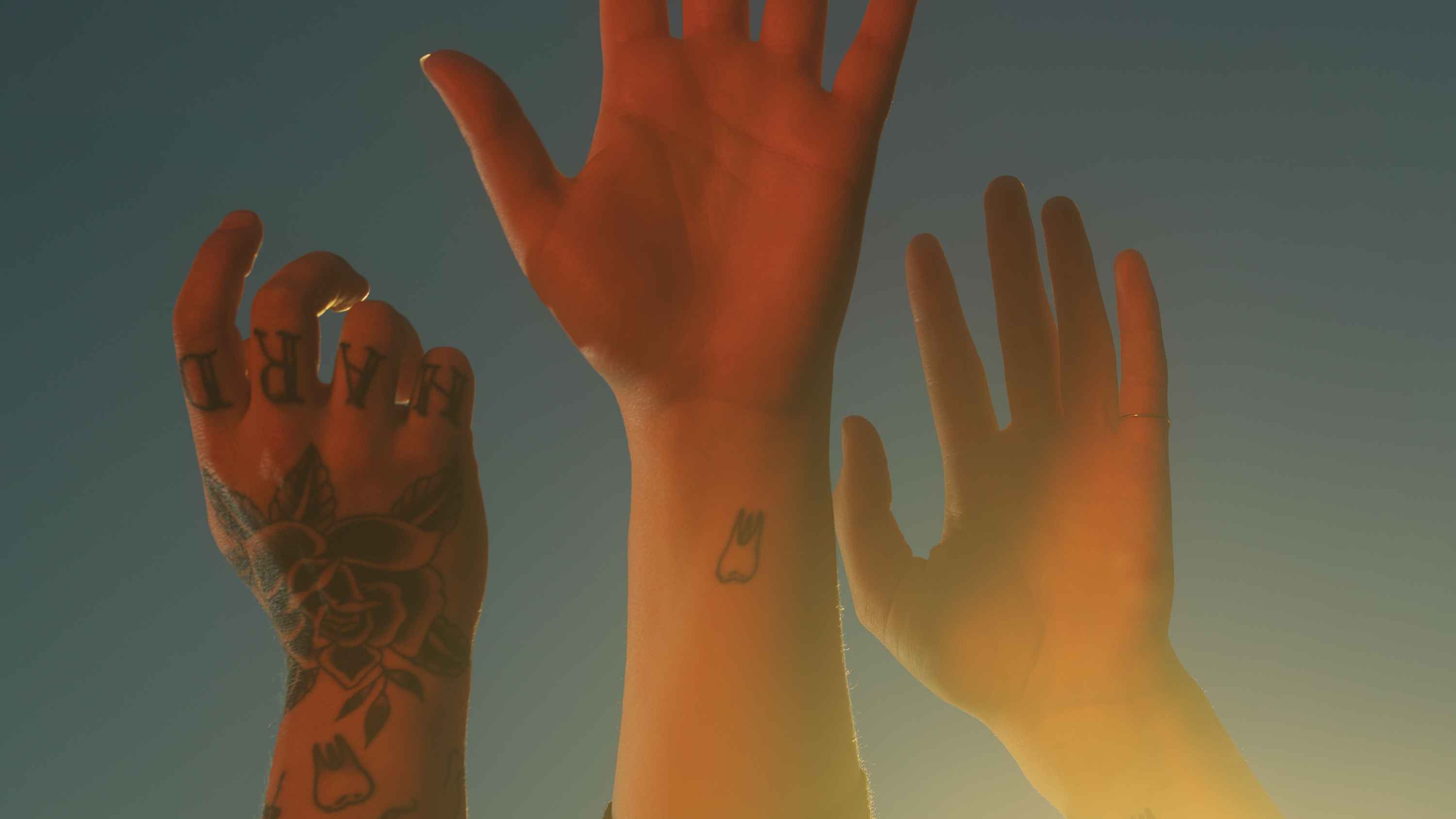 Nichts verpassen - Die VÖ-Schwerpunkte von März bis August