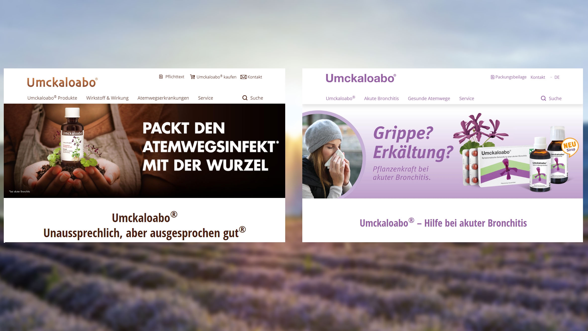 Die Websites des OTC-Präparats Umckaloabo in Deutschland und der Schweiz sehen signifikant unterschiedlich aus, basieren aber auf den gleichen Templates.