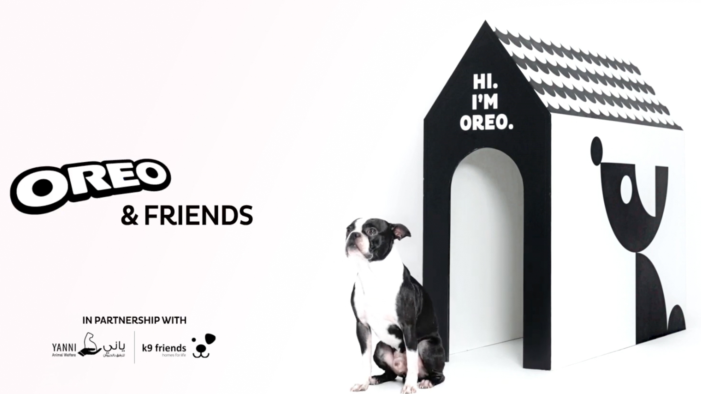 Oreo baut Hundehütten für Oreos und unterstützt damit herrenlose Hunde, ein neues Zuhause zu finden –