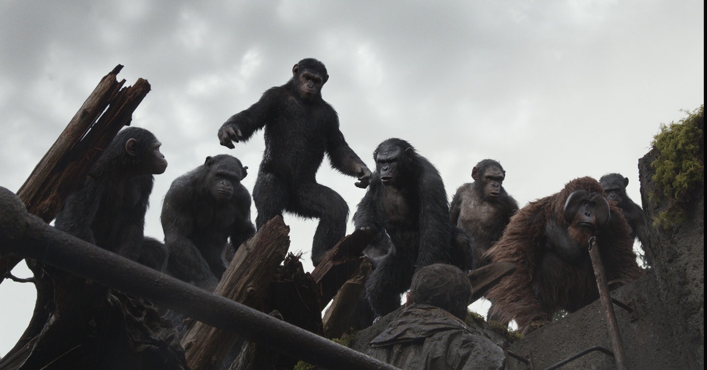 Im Dritten Teil der "Planet der Affen"-Reihe kommt es zum Krieg der Primaten (hier eine Szene aus dem Vorgänger)