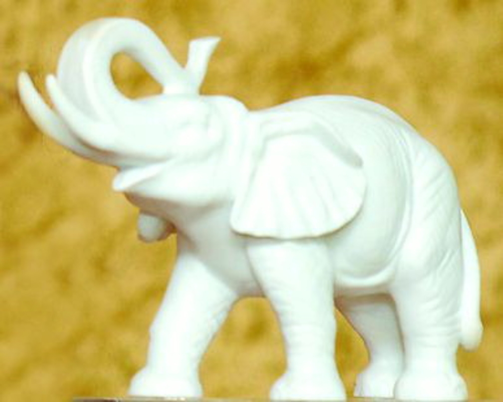 Am 29. Juni wird der Kinder-Medien-Preis "Der weiße Elefant" verliehen