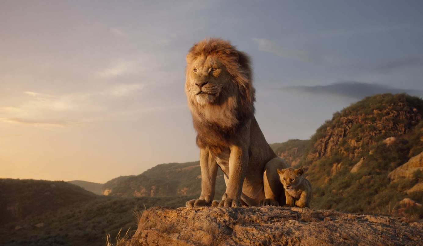 Majestätisch: "Der König der Löwen"