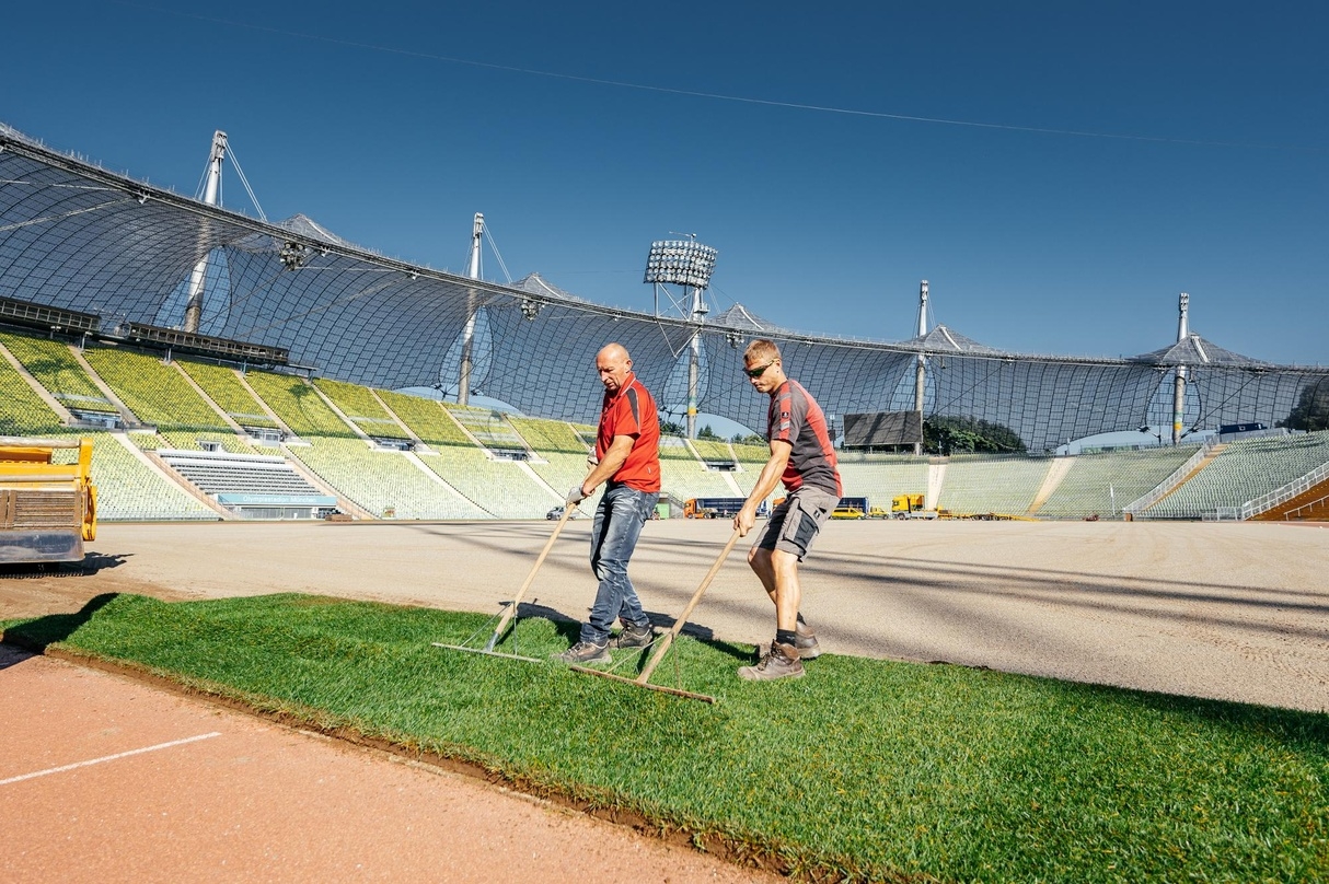 Bekommt neuen Rasen: das Olympiastadion München