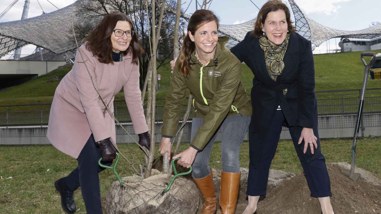 Olympiapark München wird grüner