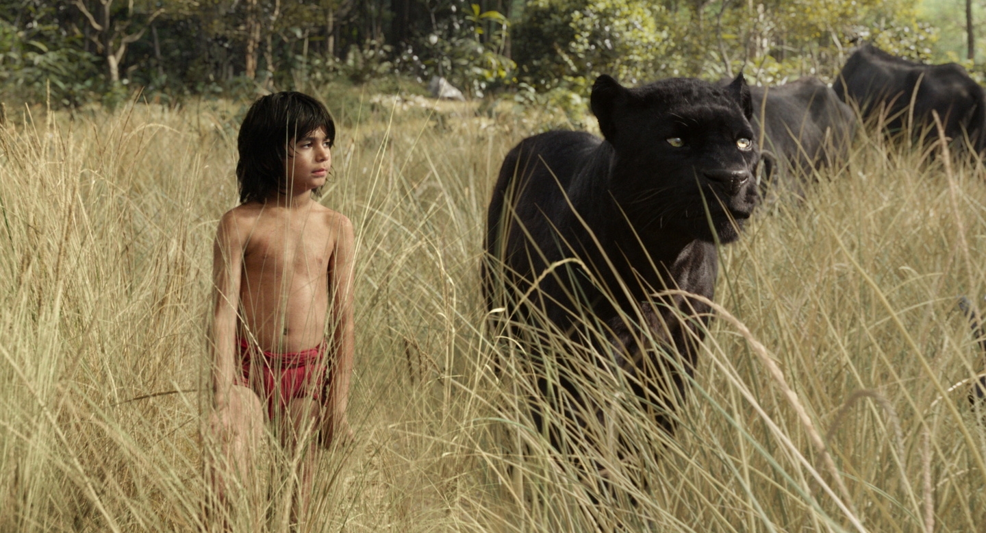 "The Jungle Book" ist bereits ab 19. August digital erhältlich