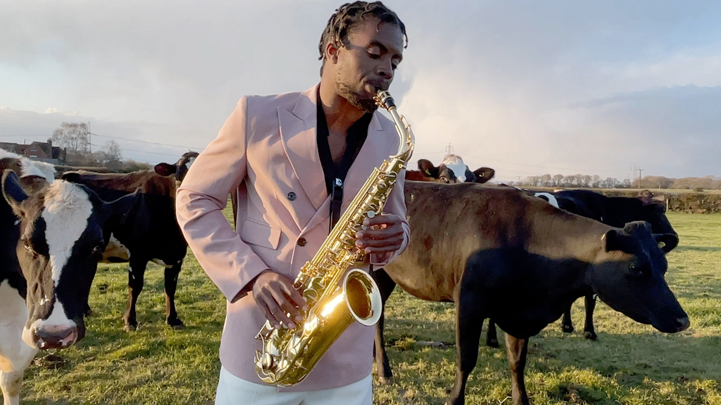Der in London ansässige Musiker CKTRL spielte für Zalando Saxophon mitten in einer Herde neugieriger Kühe –