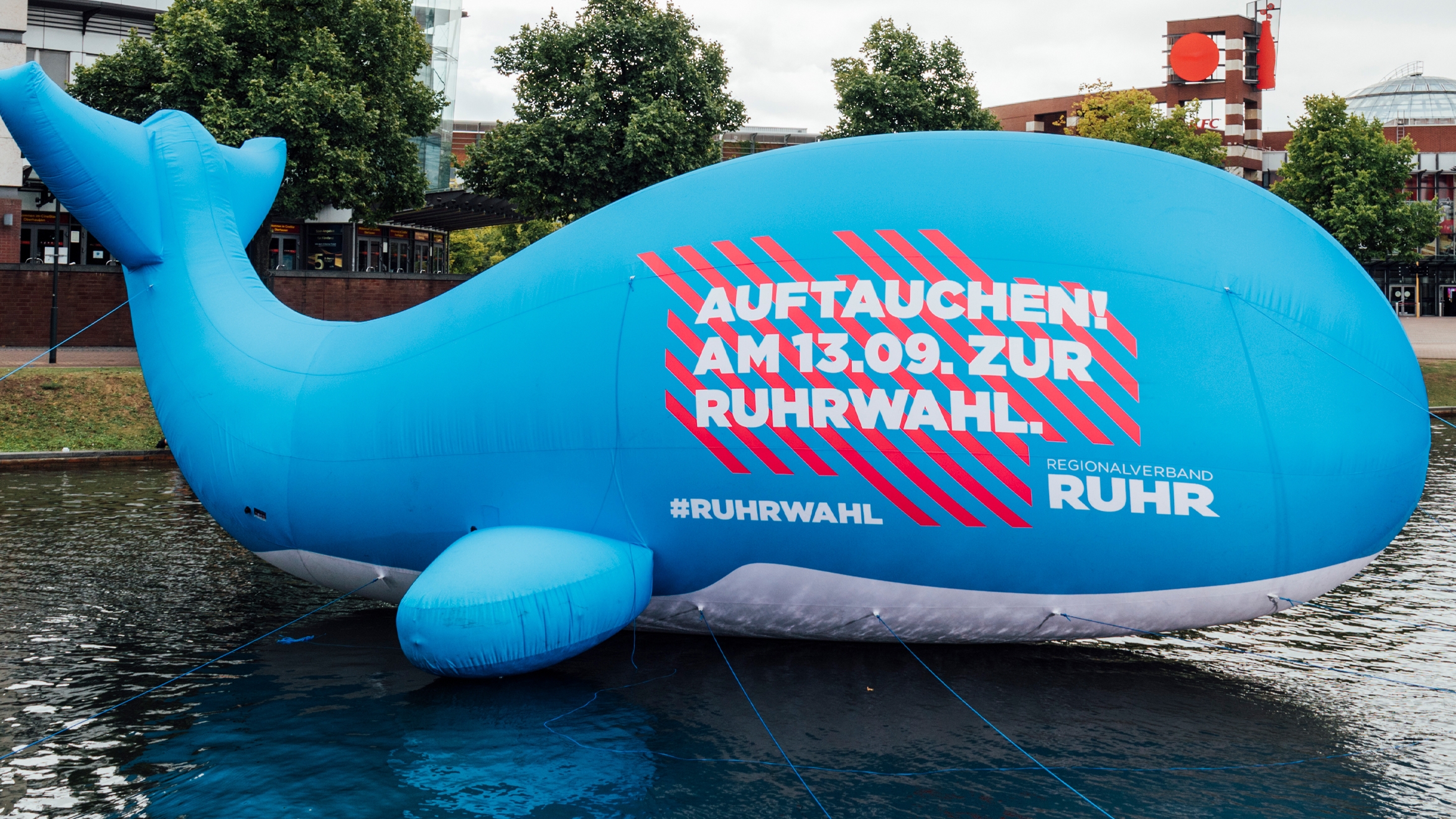 Der Regionalverband Ruhr lässt einen Wal zur Wahl aufrufen –