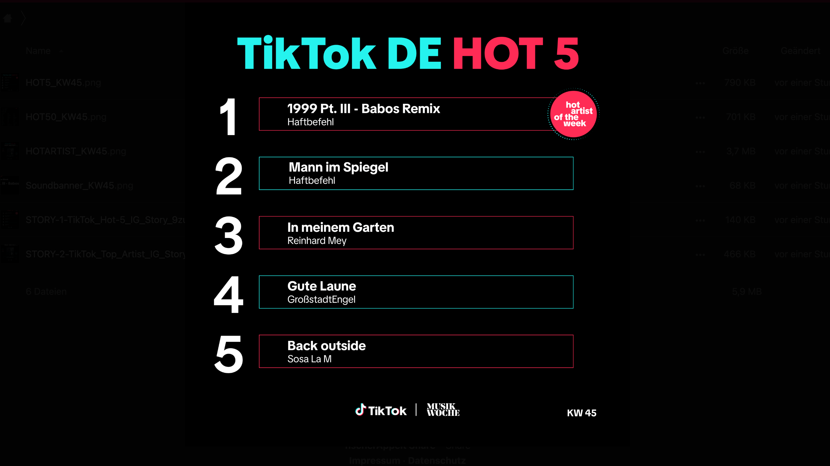 TikTok DE Hot 50 KW45: Haftbefehl holt sie alle