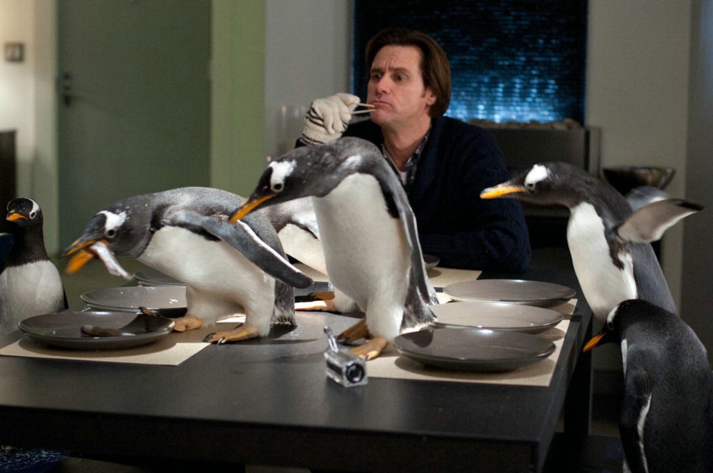 Mr. Poppers Pinguine / Mr. Popper's Penguins / Jim Carrey