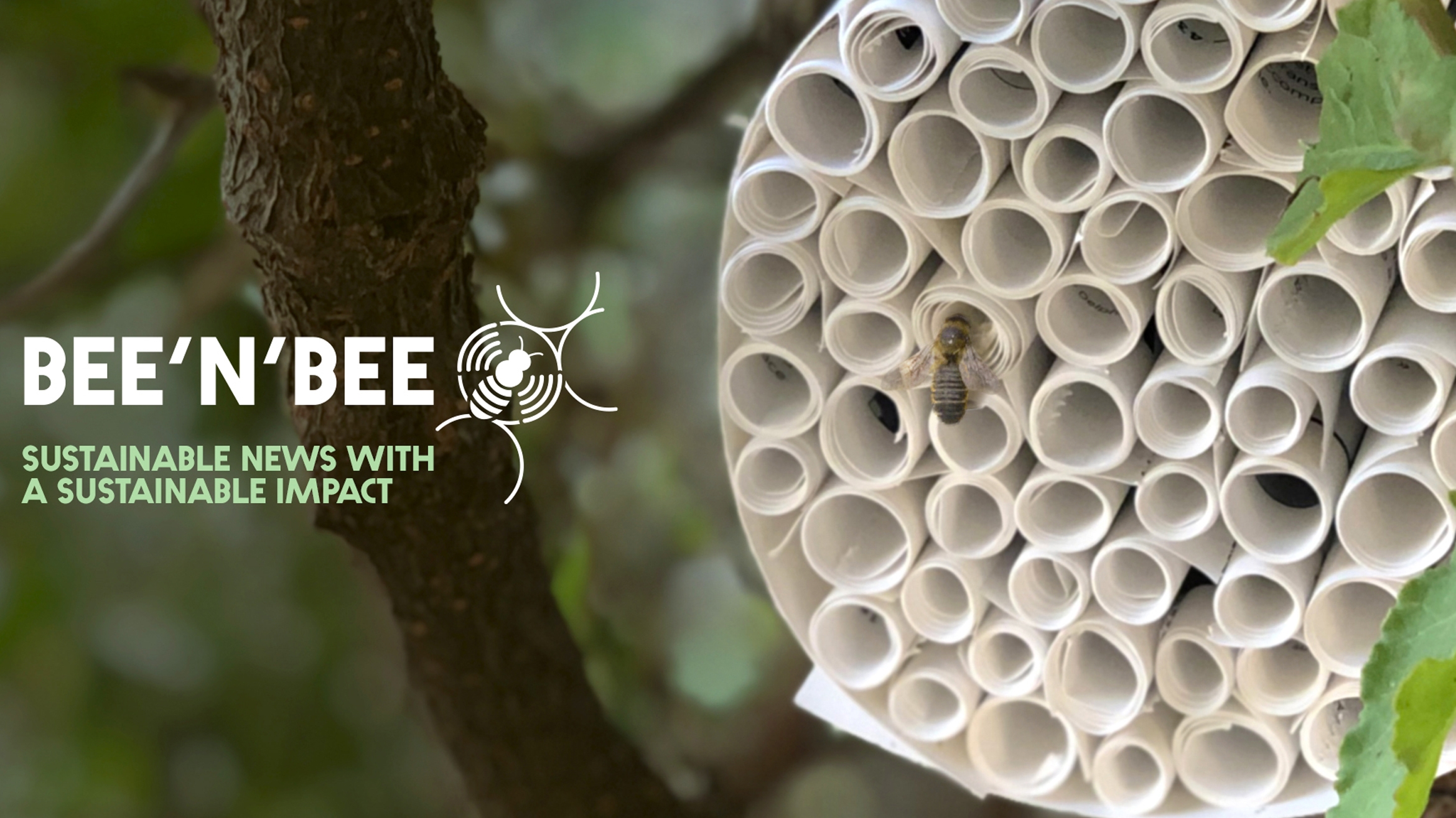 Vom CSR-Report zum Bienenhotel: BETC setzt auf die sinnvolle Zweitverwertung im Sinne des Naturschutzes –