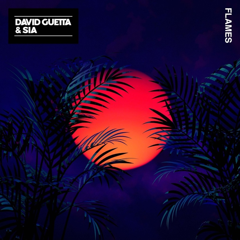 Lieferte den Radiohit des Jahres: David Guetta