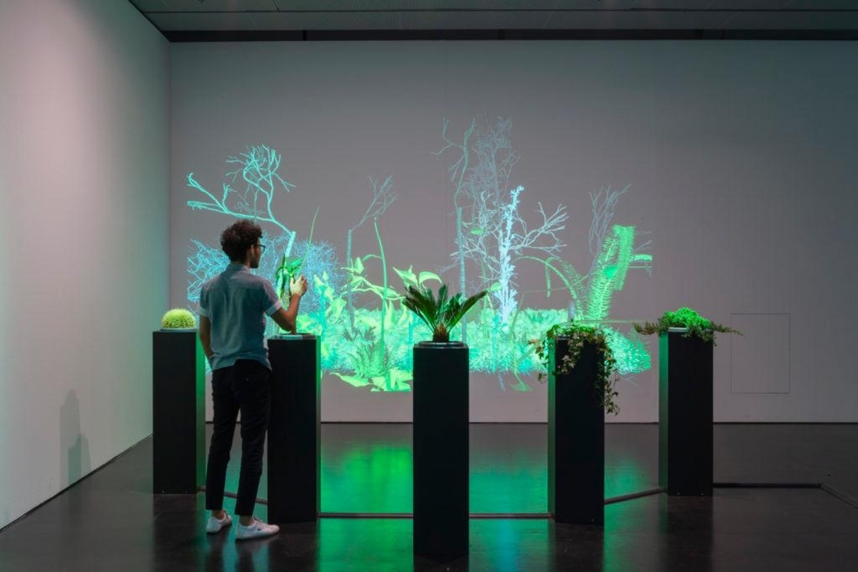 The Interactive Plant Growing, Projekt des ZKM | Zentrum für Kunst und Medien Karlsruhe