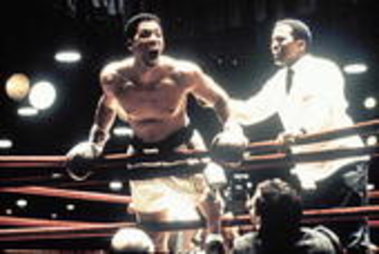 Hat sich bis in die Top Five durchgeschlagen: "Ali"