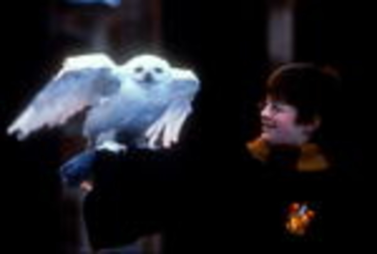 Szene aus "Harry Potter"