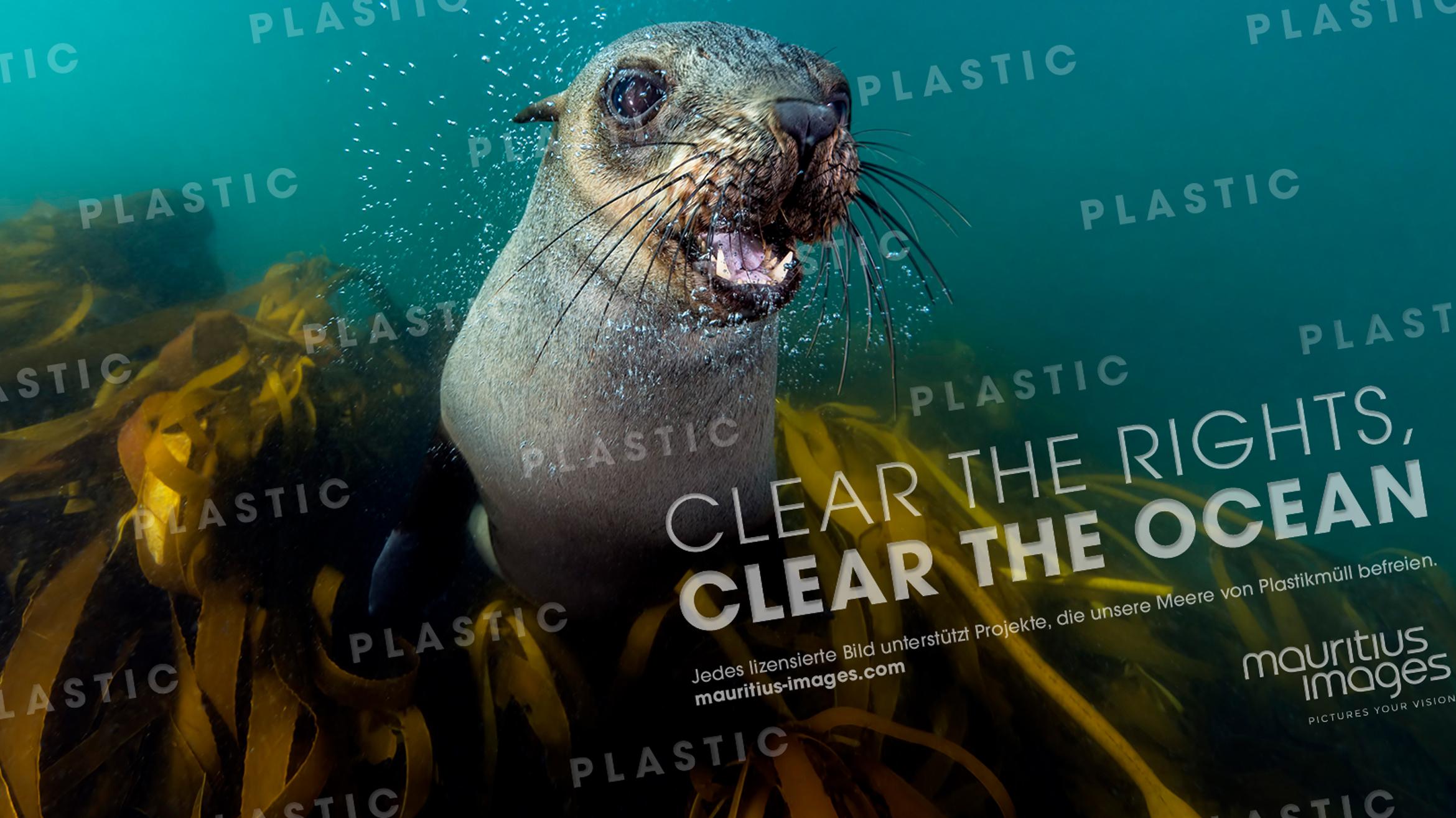 Mikroplastik kann man nicht sehen, aber es tötet die Meeresbewohner –