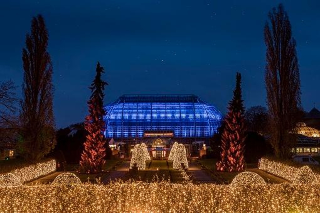 Zog 2019 rund 950.000 Besucher an: der Christmas Garden, hier eine Impression aus Berlin