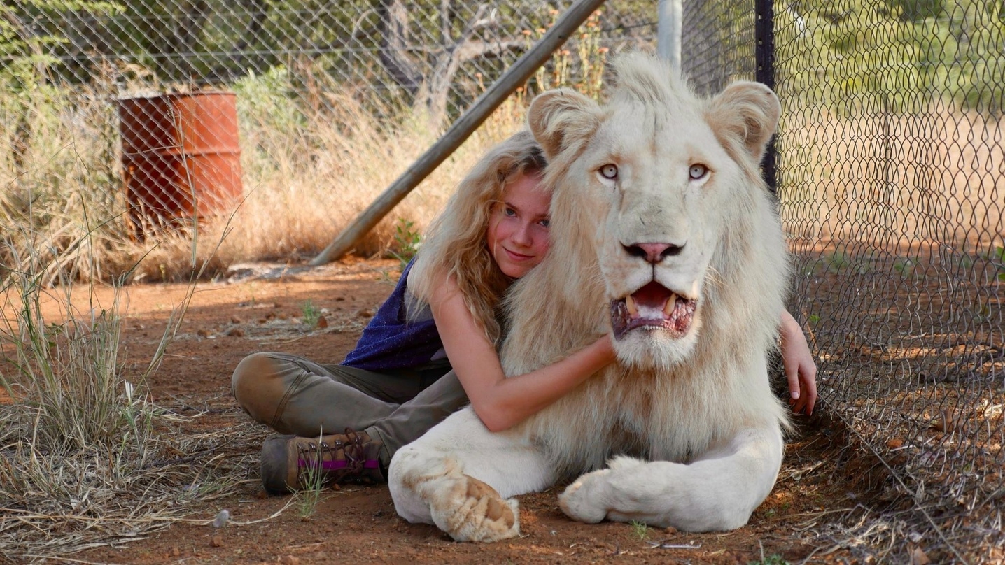 Anfang August auch auf DVD und Blu-ray: "Mia und der weiße Löwe"