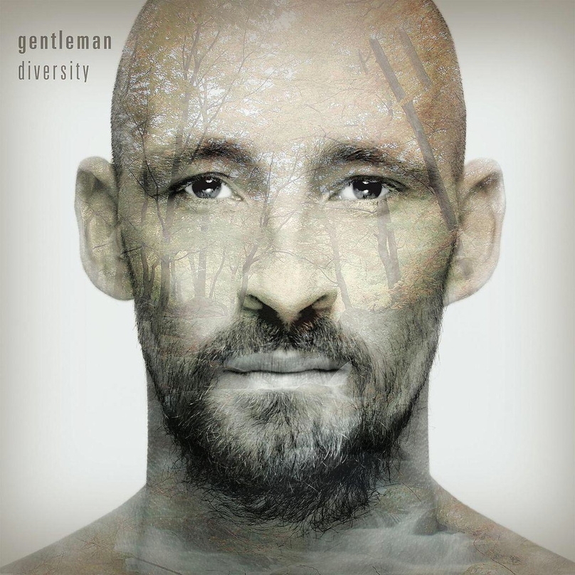 Zweites Nummer-eins-Album für Gentleman: "Diversity"