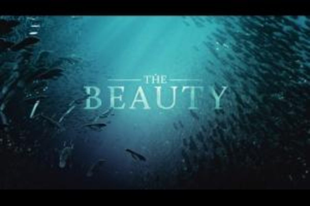 "The Beauty"