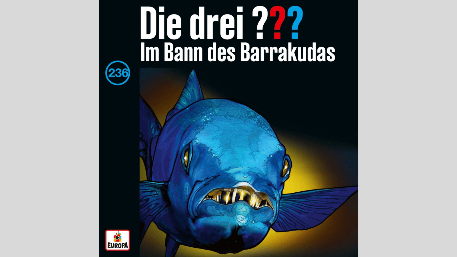 Nichts verpassen - Die VÖ-Schwerpunkte von Dezember bis Mai