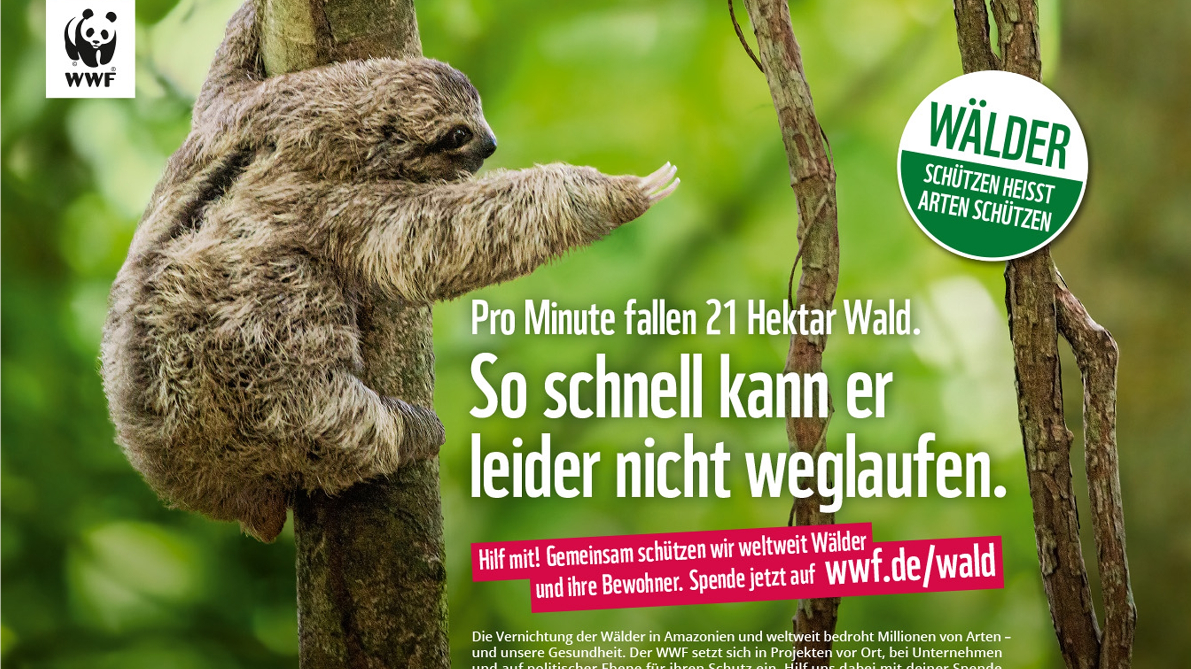 Das Faultier steht in der Kampagne stellvertretend für alle tierischen Waldbewohner weltweit. Es könnte aber auch als Fingerzeig auf die Menschen gedeutet werden –