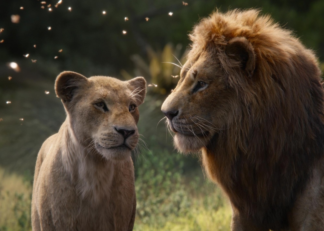 Königliche Leistung: "Der König der Löwen" ist der bislang meistgesehene Film des Jahres