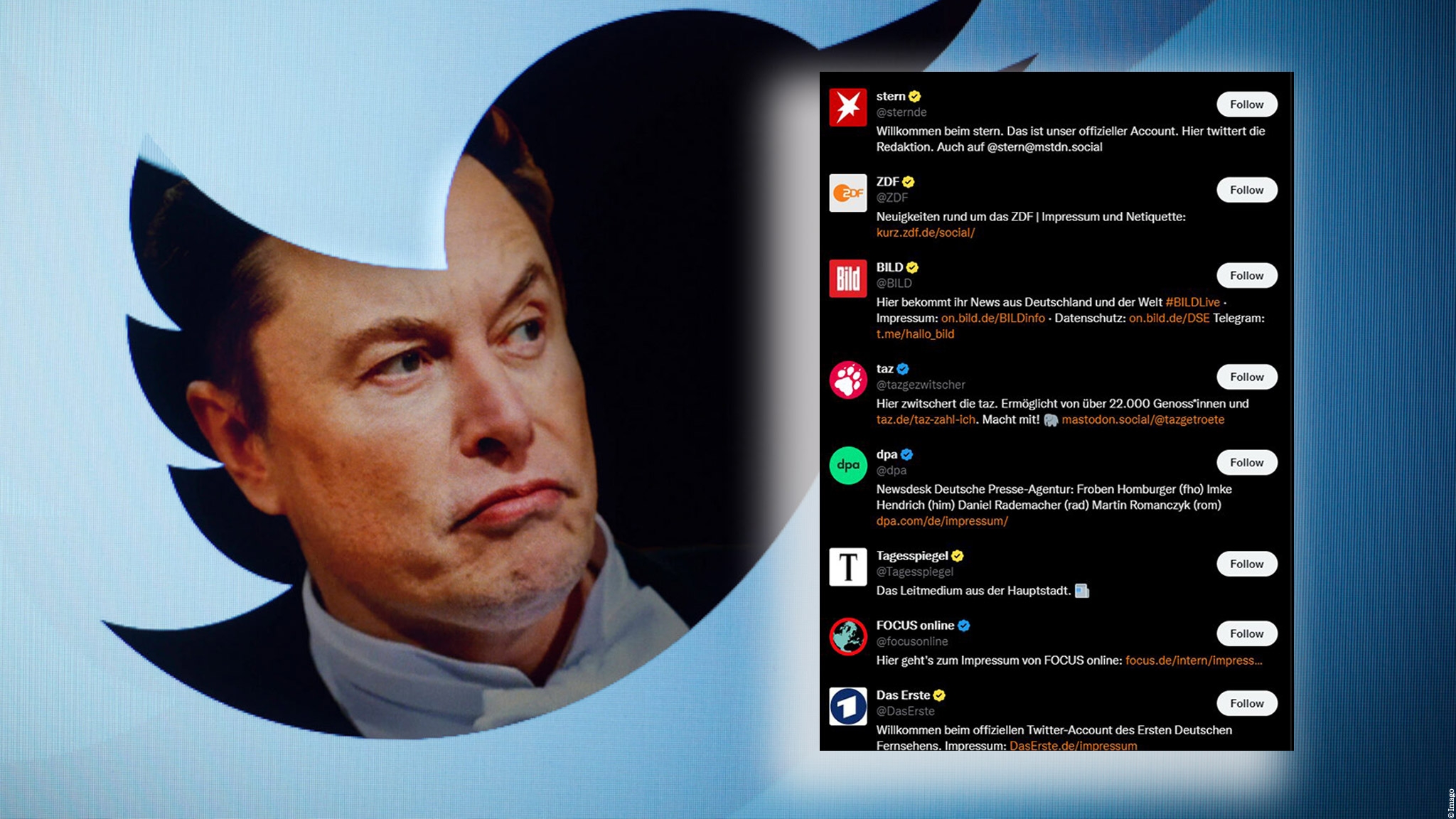 Ob Elon Musk genauso skeptisch auf die Umsetzung seiner neuen Regelungen blickt? Jetzt sind Profilbilder eckig, manchmal –