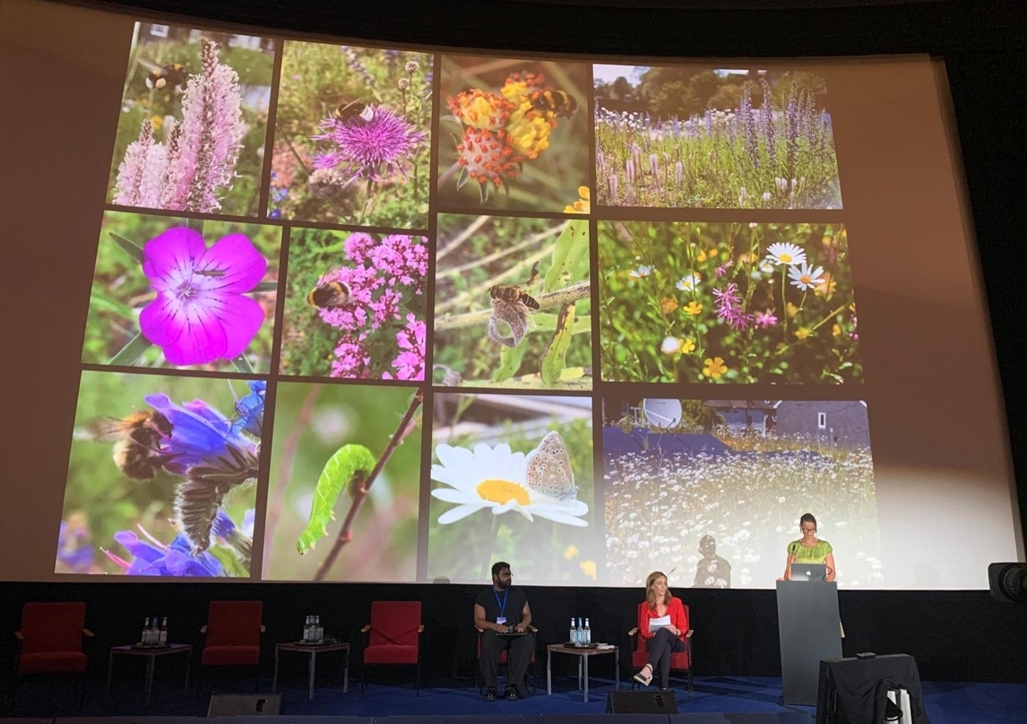 Im Depot erfüllt der Garten nicht nur ökologische Zwecke