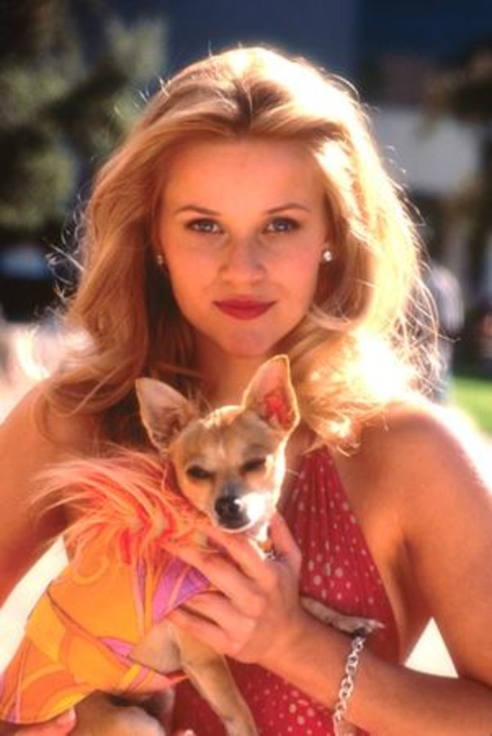 Lieblingsfarbe pink: Reese Witherspoon in "Natürlich blond!"