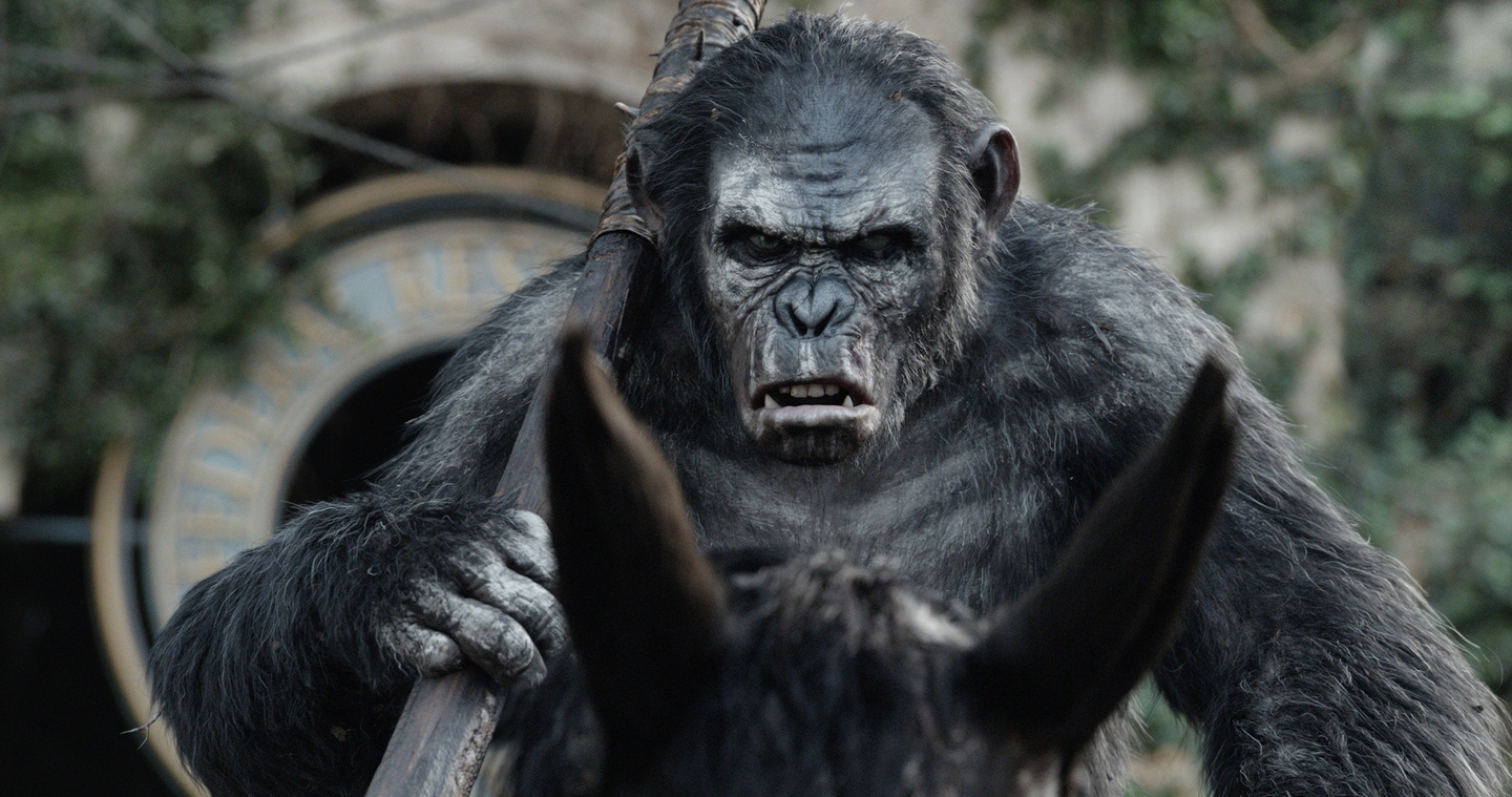 Auf dem Weg an die Spitze der deutschen Kinocharts: "Planet der Affen: Revolution"