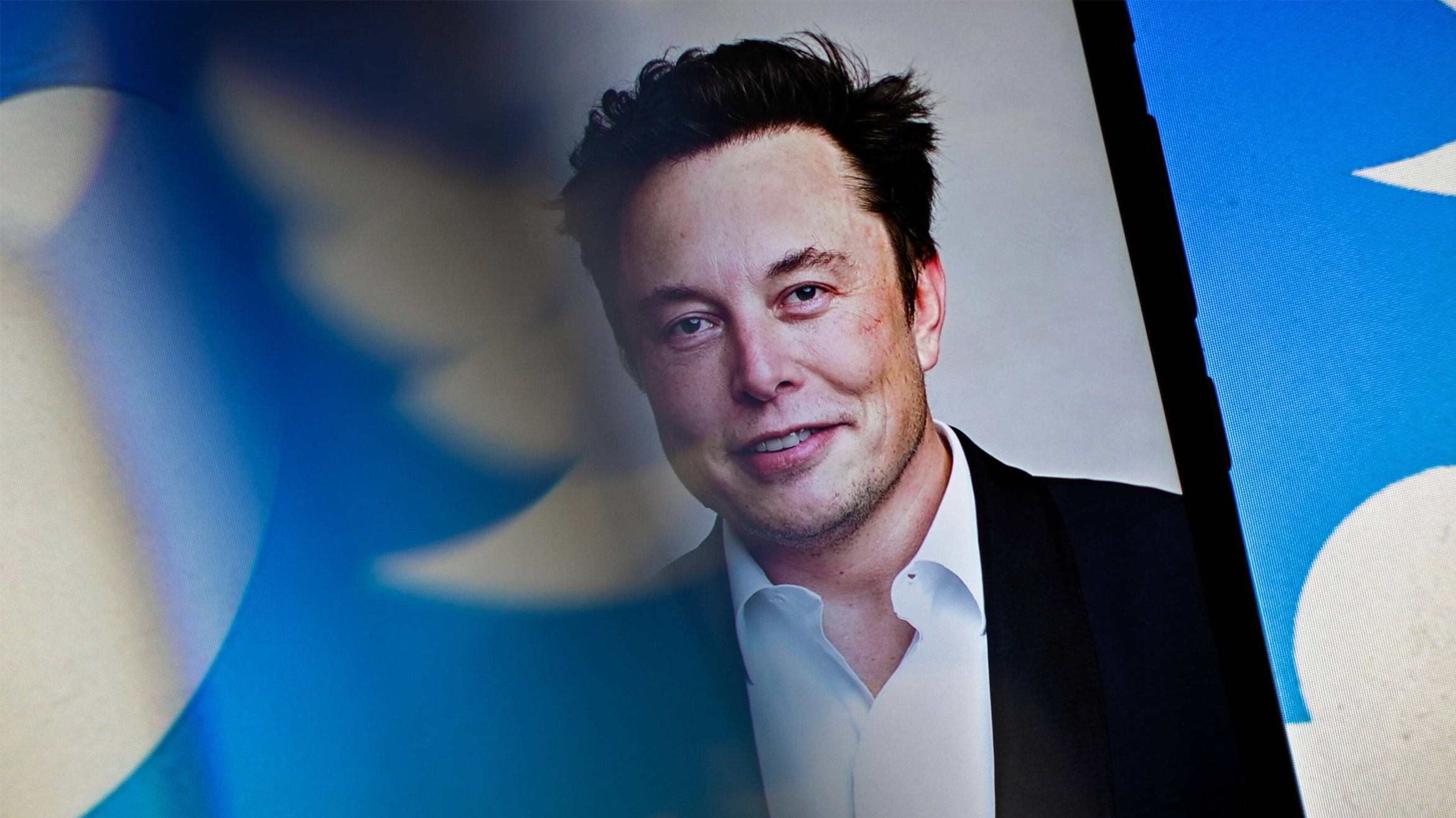 Elon Musk und Twitter -