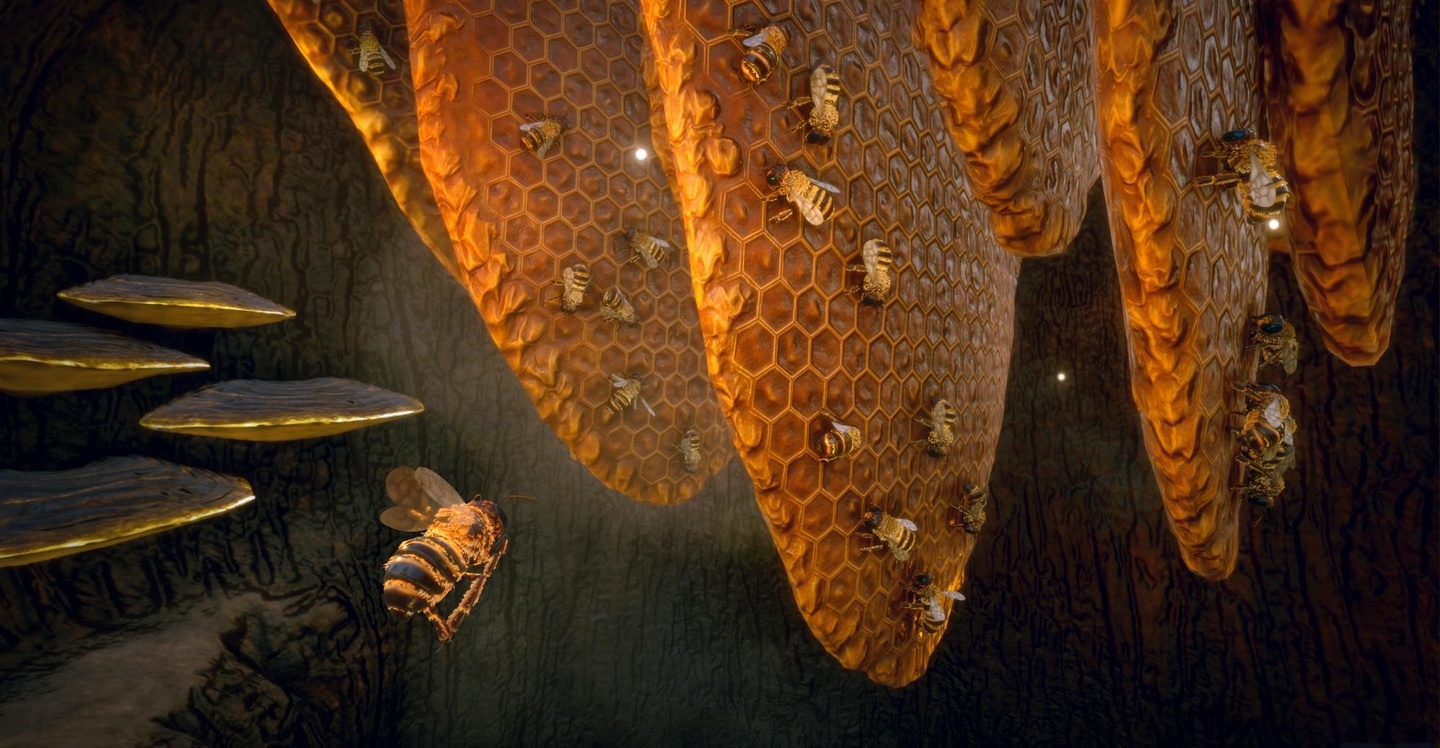 Dass die gestreiften weiter Honig sammeln können für uns, greift Bigben dem NABU finanziell unter die Arme.