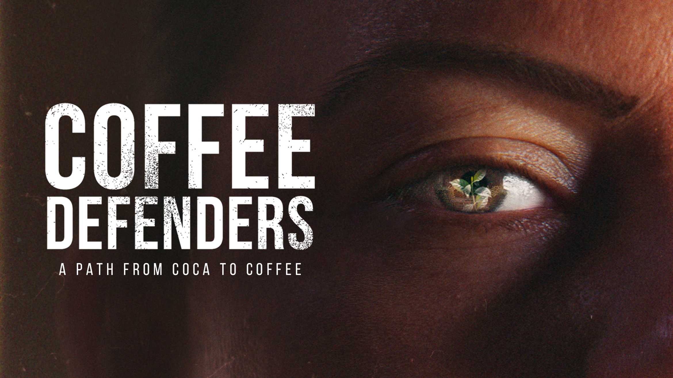 A Path from Coca to Coffee –