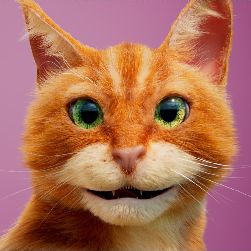 Im Vergleich der finale Frame