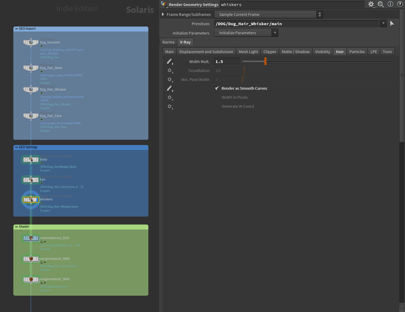 Die verschiedenen Bestandteile des Assets, hier die Geometrie und die Haare des Hundes, werden per Sopimort in Solaris importiert. Verschiedene Rendererspezifische Einstellungen, die im Obj Kontext bei den jeweiligen Objekten zu finden sind, werden in Solaris per Render Geometrie Settings Node angepasst, hier der Width-Multiplier der Schnurrhaare. Danach werden die Shader erstellt und zugewiesen. Damit ist die Asseterstellung abgeschlossen und kann in eine USD-Datei exportiert werden.
