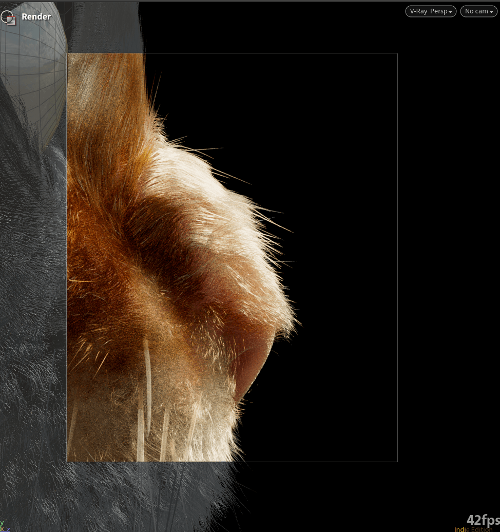 Lookdev-Ultraclose-up der Nasen- und Schnurrhaare. Das Bereichsrendern in Solaris wird von
Vray problemlos unterstützt.
