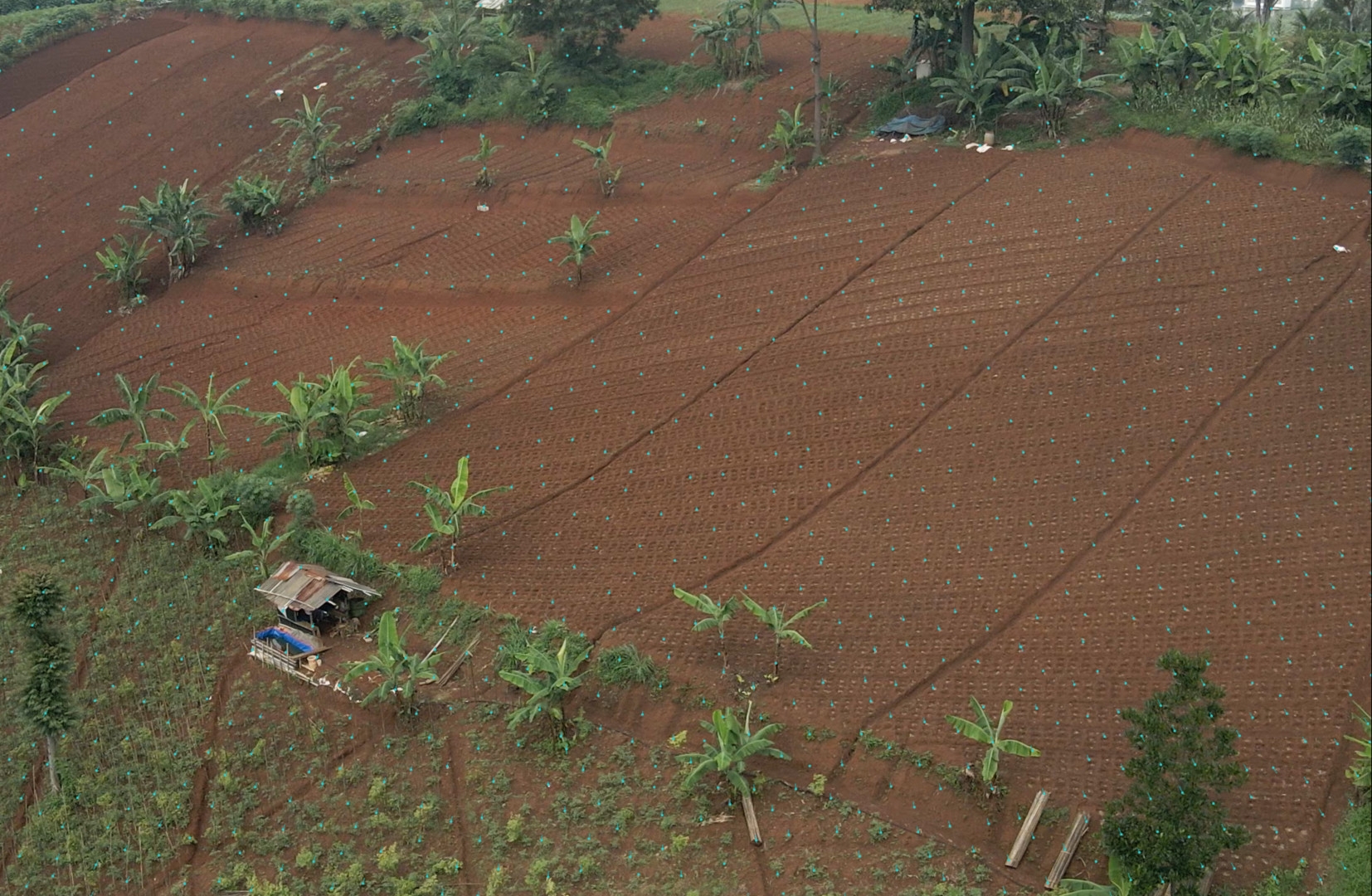 Selbst mit repetitiven Strukturen kommt das Tracking zurecht.